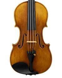 VIOLINES_webp